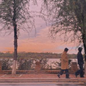 暗藏的情愫总会无疾而终