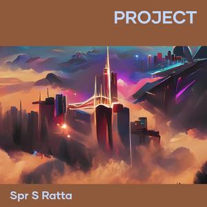 Project