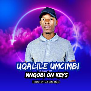 uqalile umcimbi (feat. DJ Lifestyle)
