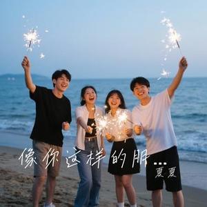 像你这样的朋友 (Cover 陆虎)