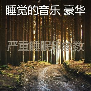 一尘不染做梦印象数