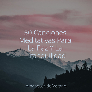 Ecos del Viaje de Terra