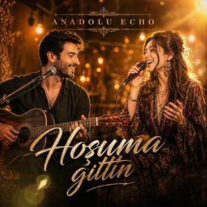 Hoşuma Gittin