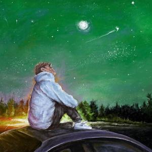 茶花开了 该回家了