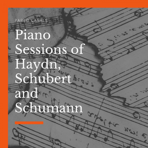 Piano Trio No.1, in D Minor, Op. 63: I. Mit Energie Und Leidenschaft - Con energia e passione