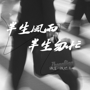 半生风雨半生匆忙