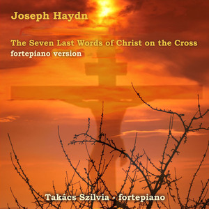 The Seven Last Words of Christ, Hob.XX:1: II. Sonata I. - Pater, dimitte illis quia nesciunt quid faciunt