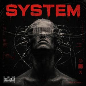 SYSTEM