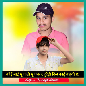 कोई भाई सुण तो सुणाऊ र टुटेड़ो दिल काई कहर्यो छः