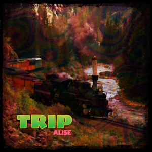 Trip