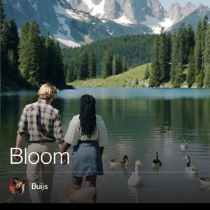 Bloom