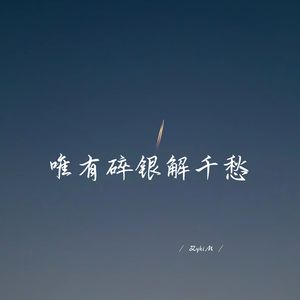 唯有碎银解千愁