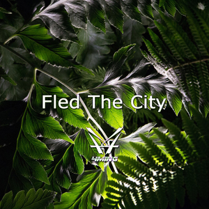 Fled The City (Original Mix)