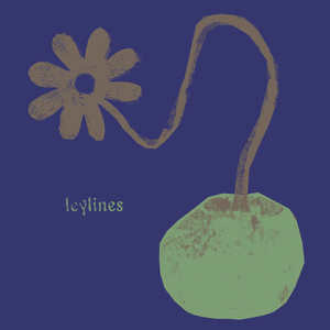 Leylines