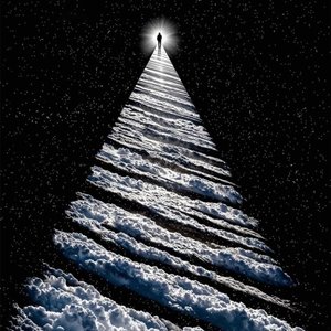 《有点儿虎demo》