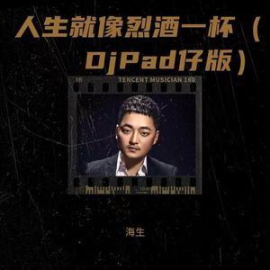 人生就像烈酒一杯（DjPad仔版）