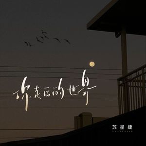 你走后的世界（校园广播版）