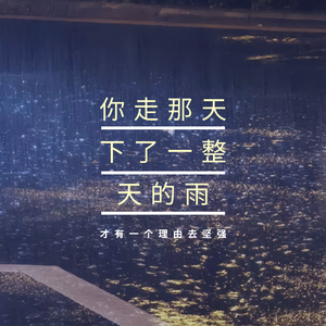 你走那天下了一整天的雨