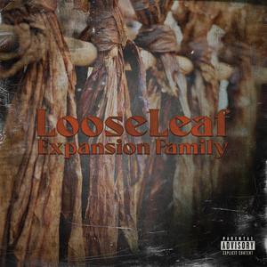 LooseLeaf (feat. RawMind, DestheProvider, Jus Stix & Elric Virtuoso)