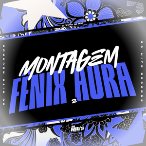 Montagem Fênix Aura 2