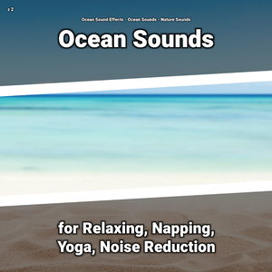 Ocean Sound Effect to Meditate To