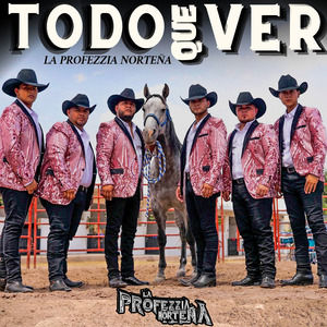 Todo Que Ver