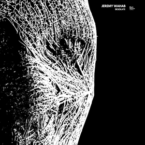 Desolate (Original Mix)