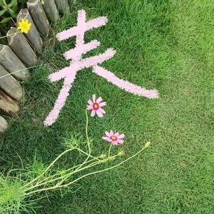 与星同航