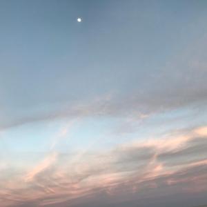 This one is good i promise