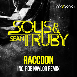 Raccoon (Rob Naylor Remix)