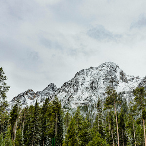Serenity Of The Seas