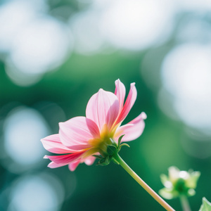 하나님은 위대하시다