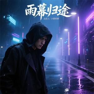 雨幕归途
