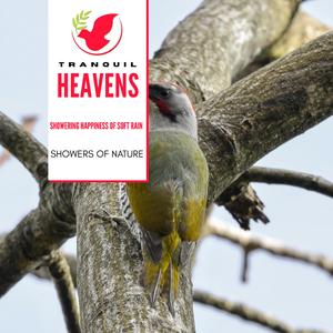 Intoxicating Thunder