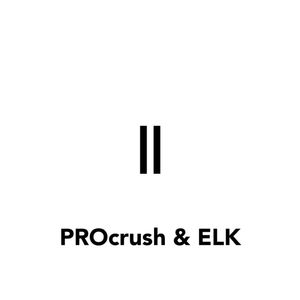 队长-哪里都是你（PROcrush / Elk remix）