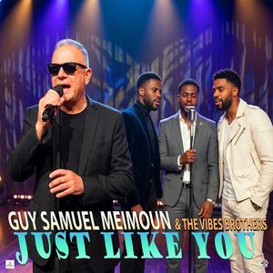 JUST LIKE YOU (feat. THE VIBESBROTHERS)