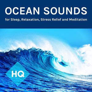 Uncommon Beach Sounds