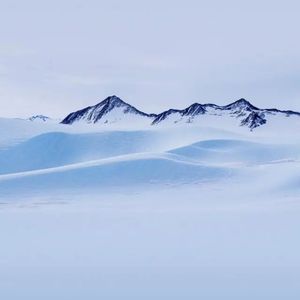 悬崖华尔兹(Live)