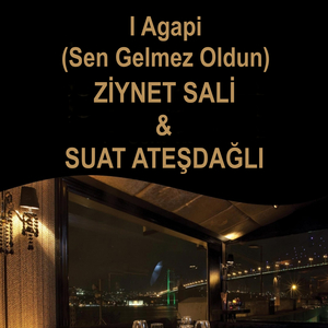 I Agapi / Sen Gelmez Oldun