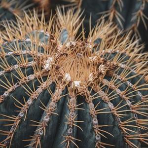 默（原唱那英，翻唱为周杰伦版）