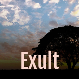 Exult