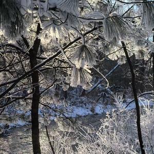 咏春DJ (开元盛世)