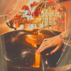 白玫瑰与红玫瑰