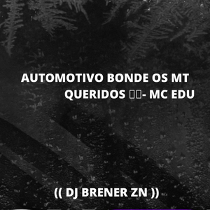 AUTOMOTIVO BONDE OS MT QUERIDOS