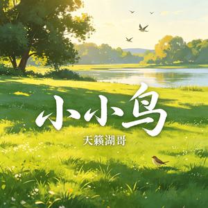 小小鸟
