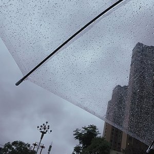 淋一场雨（片段）
