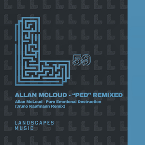 Pure Emotional Destruction (3runo Kaufmann Remix)