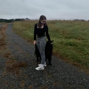 Without You