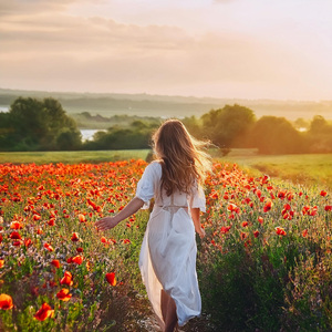 Una Noche Pacífica Con Descanso Pleno Y Serenidad