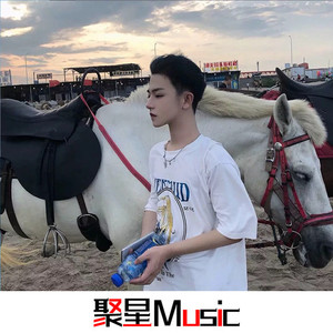 你是我的执着(抖音DJ完整原版)